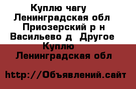 Куплю чагу . - Ленинградская обл., Приозерский р-н, Васильево д. Другое » Куплю   . Ленинградская обл.